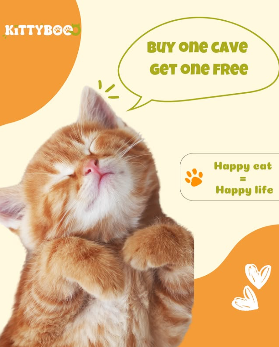 Instagram shop
