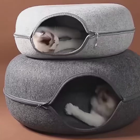 MewMew cat caves